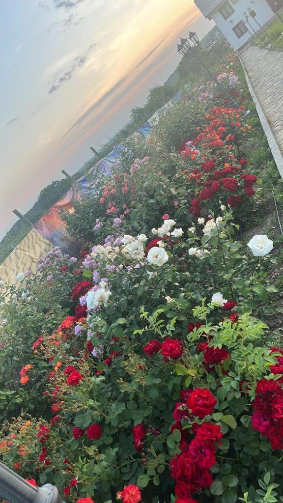 Relax Hotel Greci Bagian luar foto